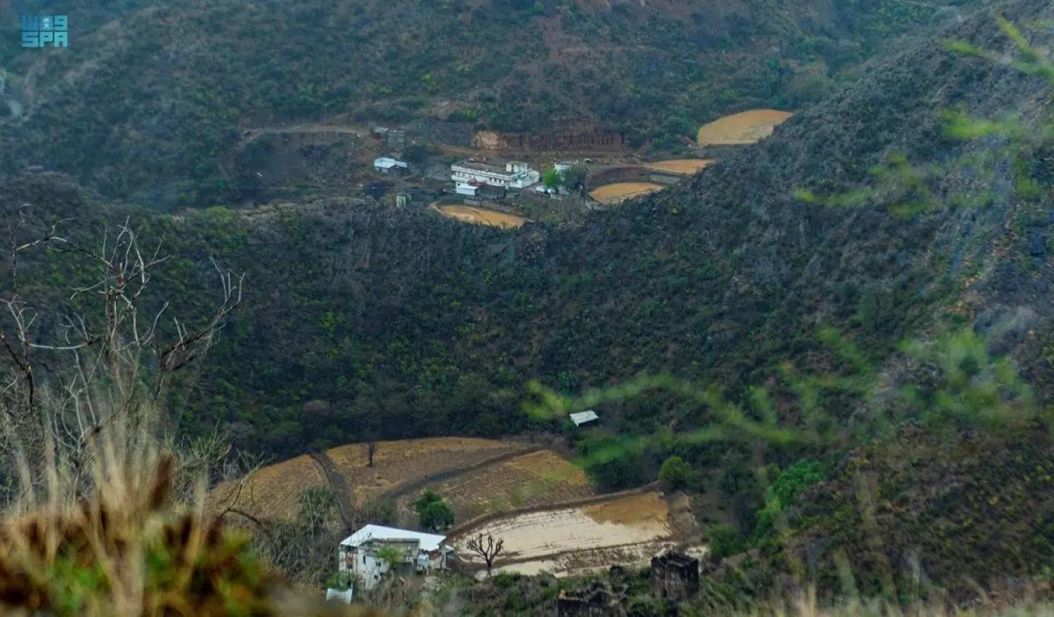 «فيتش»: نشر السعودية «إطار التمويل الأخضر» يسهل جهودها المستمرة في التمويل المستدام