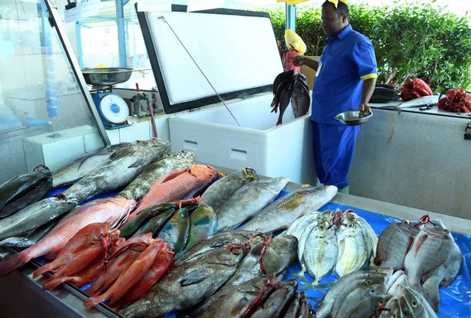 تدشين برنامج الدعم المالي المباشر لصغار الصيادين السعوديين