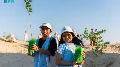 في إنجاز بيئي يُجسد التزام المملكة بالاستدامة.. زراعة 31 مليون شجرة في المنطقة الشرقية